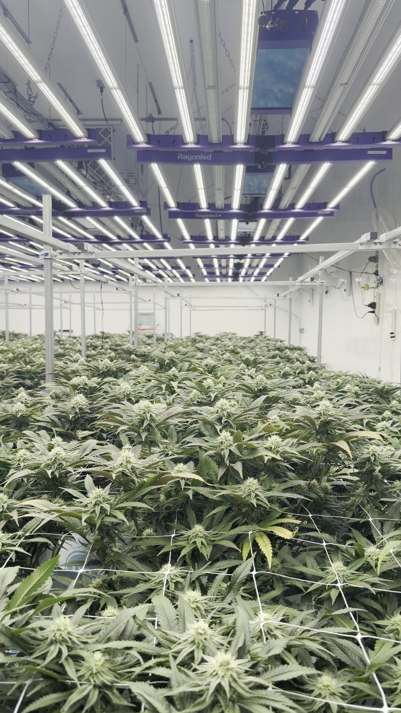 Vue d'ensemble des installations Château Bloom